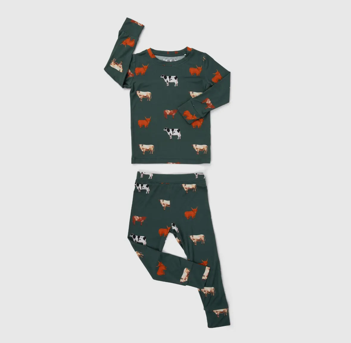 Bamboo 2 Piece Pajamas