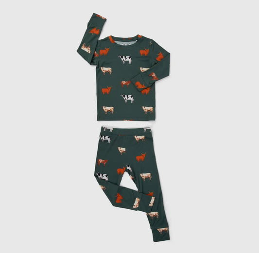 Bamboo 2 Piece Pajamas